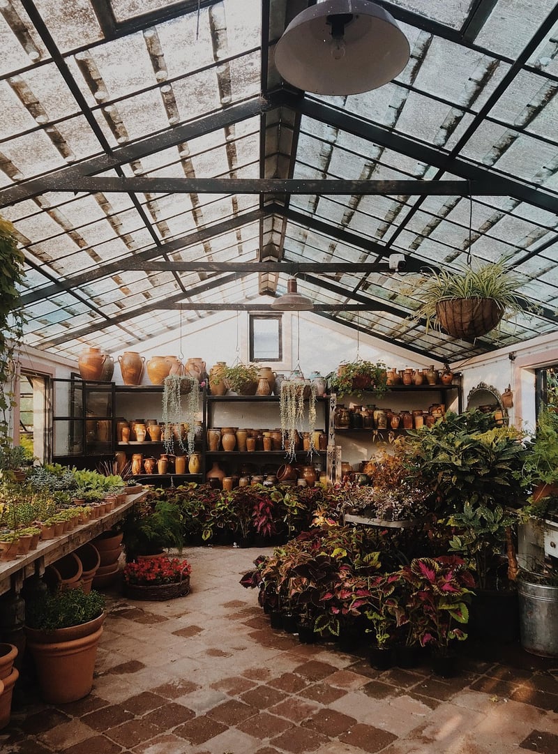 Botanical Bliss Conservatory